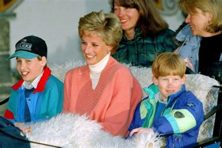 Prince William And Prince Harry Will Ignore Their Ongoing Feud To Honor Princess Diana