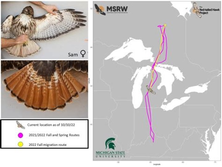 R. Kelly’s Trial Will Start Officially In April Of 2021