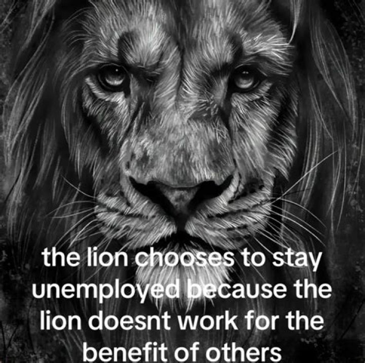 Safaree Drops His New Single, But Doesn’t Receive The Feedback He Expected