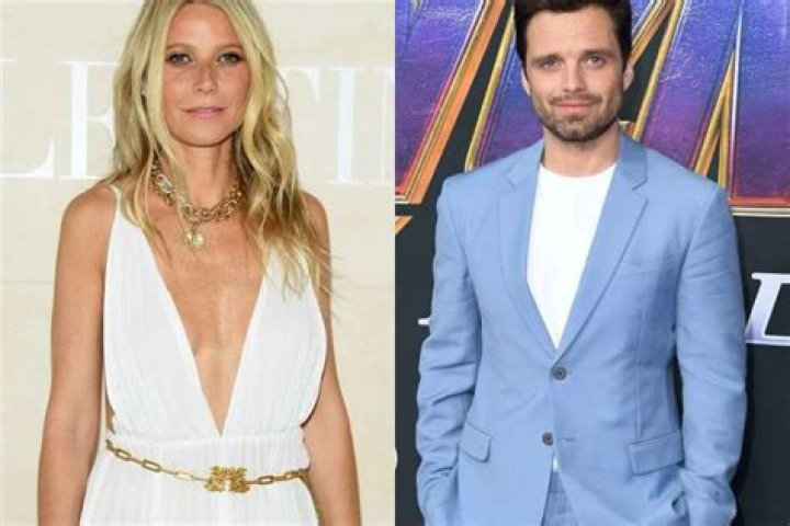 Sebastian Stan Complains About Having To Introduce Himself To Gwyneth Paltrow For A Third Time Despite Being Co-Stars!