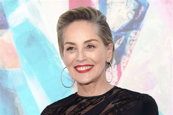 Sharon Stone Says ‘Looks’ Definitely ‘Matter’ When It Comes To The Entertainment Industry – Anyone Who Says Otherwise Is Lying