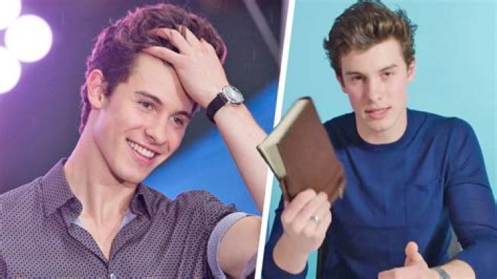Shawn Mendes Thinks ‘It’s Hurtful’ People Keep Questioning His Sexuality – Wants Them To Stop!