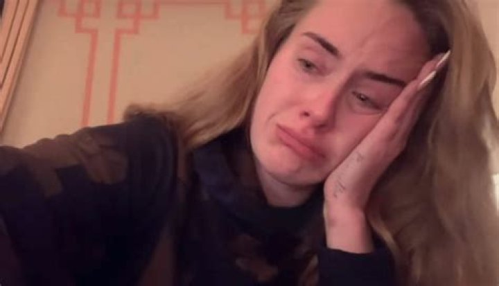 Singer Adele found what to say to angry fans after a scandal