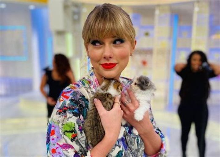 Taylor Swift’s Best Photos Of Cats
