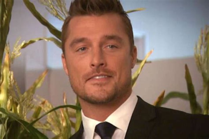 The Bachelor Alum Chris Soules Sentenced For Involvement In Fatal Crash