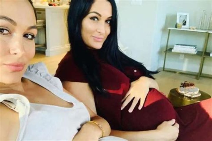 The Bella Twins Introduce Their Baby Boys To The World — Meet Buddy And Matteo