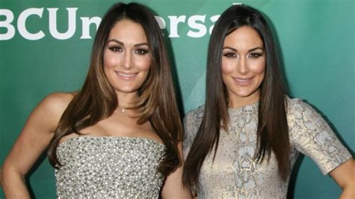 The Bella Twins Want To Return To The WWE!