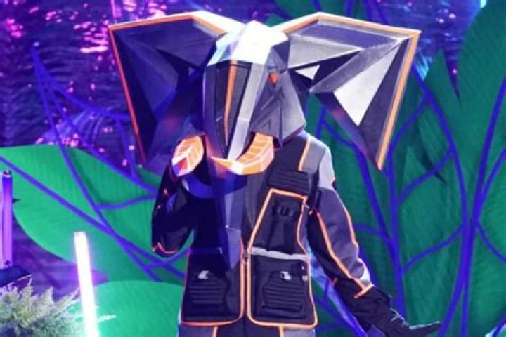 The Masked Singer Introduces A New Group Of Contestants & Unmasks A Skateboarding Legend