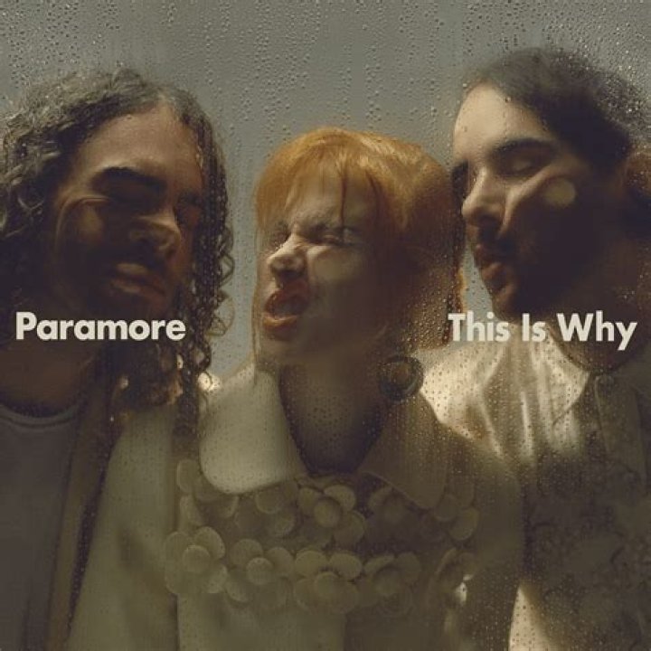 This Is Why Hayley Williams Of Paramore Turned Down The Biggest Collaboration Of Her Career — Here’s Who It Could Have Been With