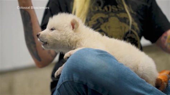 Todd Tucker’s Video Featuring Ace Wells Tucker Makes Fans Smile – See The Clips That Brought Back Memories For Lots Of Viewers