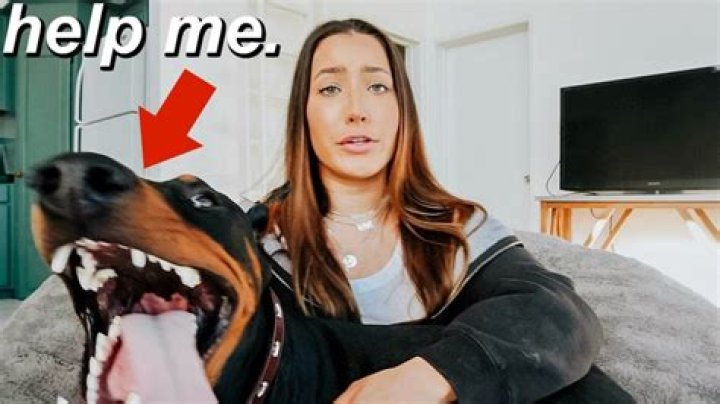 YouTuber Brooke Houts Caught On Tape Allegedly Abusing Her Dog By Hitting And Spitting On Him — Watch The Disturbing Video