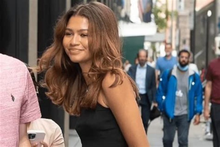 Zendaya Showed Off Her Toned Abs To Meet Her Boyfriend